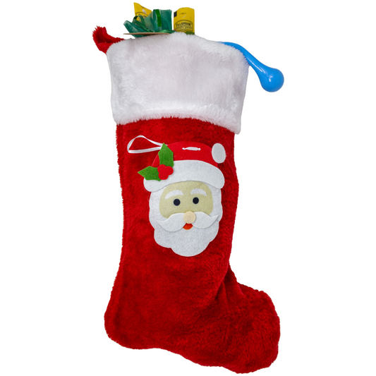 Pre-Filled Christmas Stocking for Men with Popular Name Brand Items