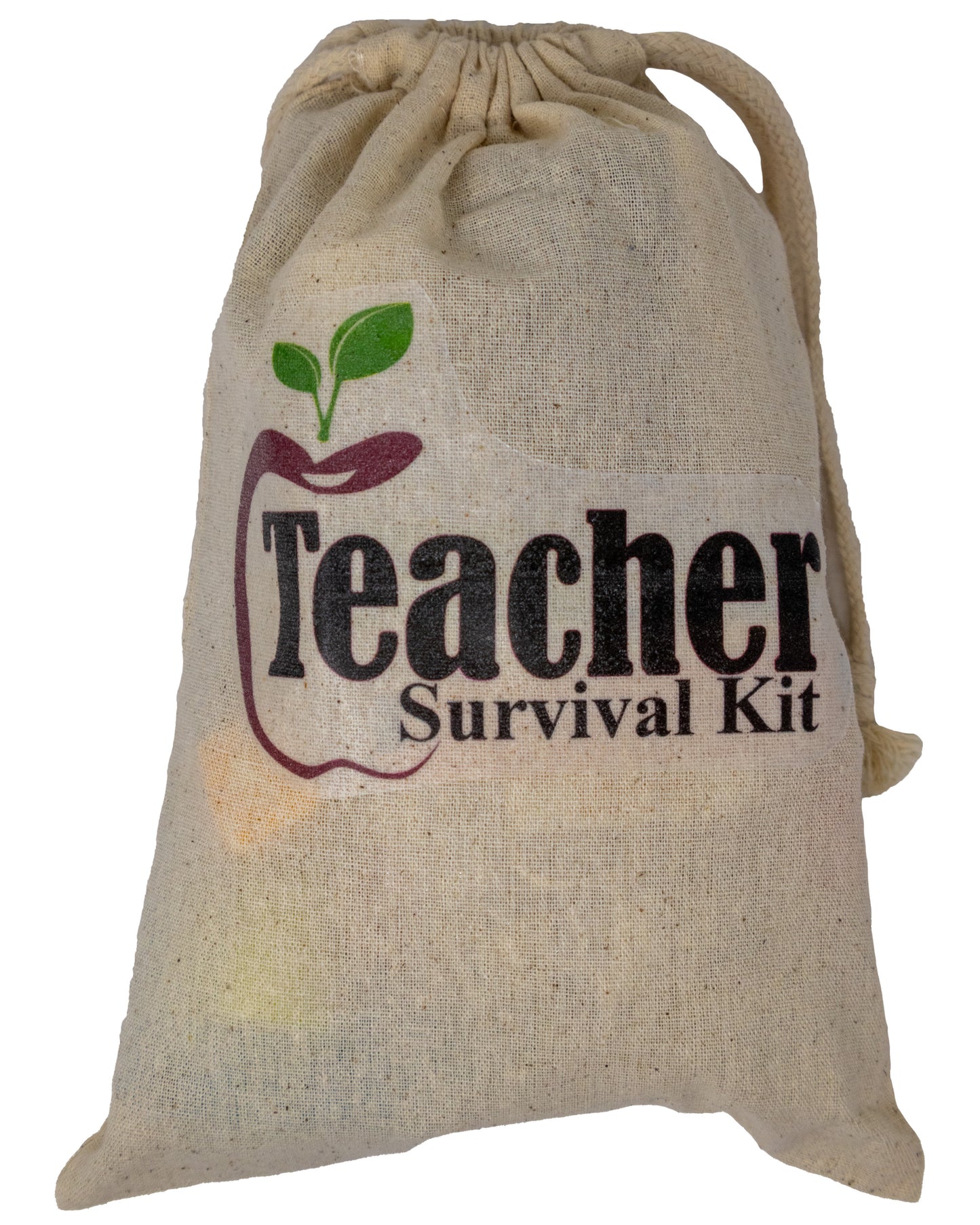 Teacher Fun Survival Kit with Witty Instruction Card