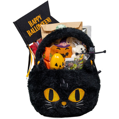 Halloween Fuzzy Cat Prefilled Boo Basket